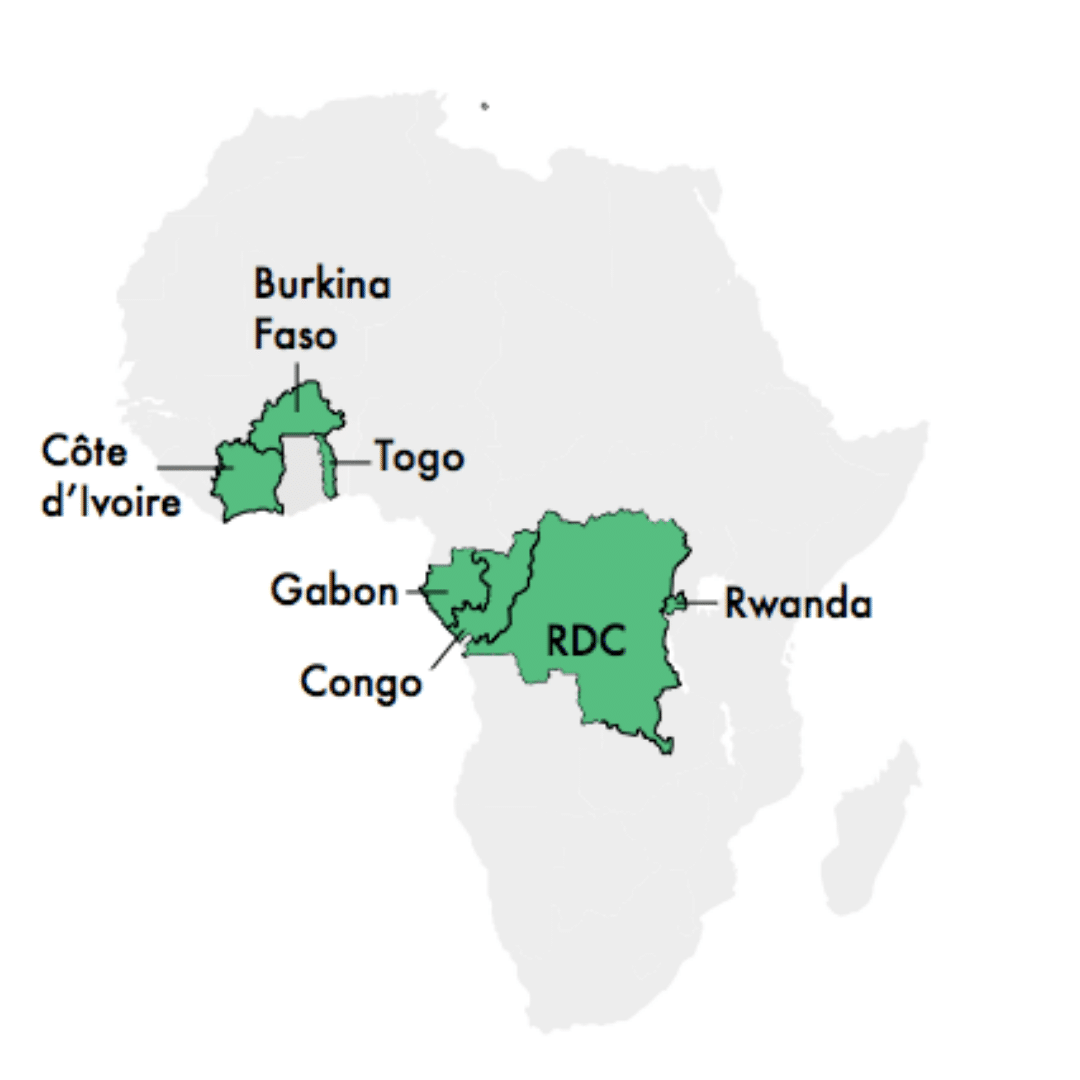 À propos de GVA Group Vivendi Africa